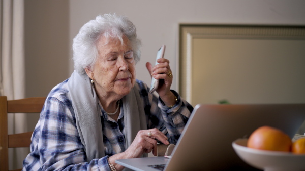 Senior woman working on laptop on her own, feeling confident. Digital literacy of elderly people.