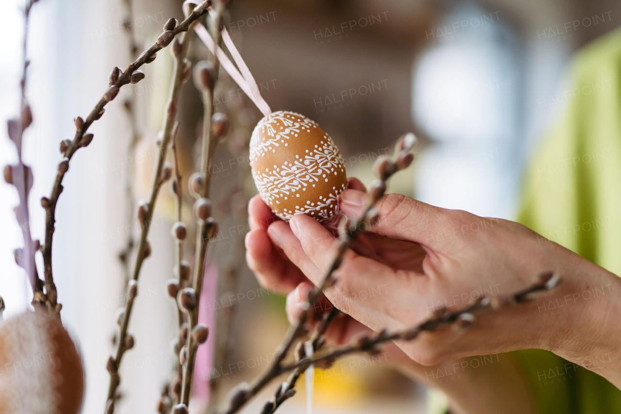 Decorating pussy willows branches with easter eggs. Concept of easter holidays.