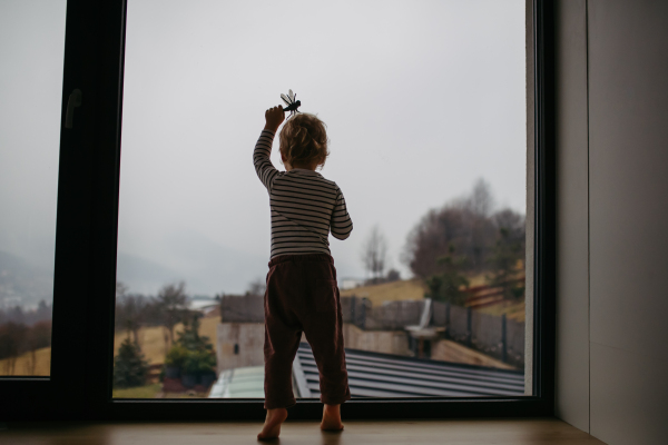 Adorable toddler boy playing with toy at home, standing by window.