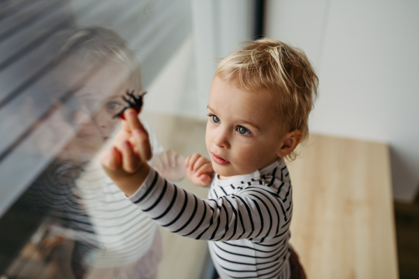 Adorable toddler boy playing with toy at home, standing by window.