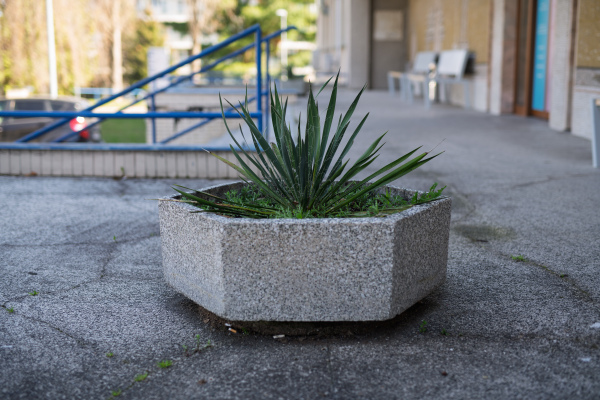 Outdated hospital building with concrete flower pot in front of entrance.