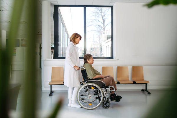 Friendly doctor pushing elderly patient in wheelchair across hospital hallway, Senior health care.