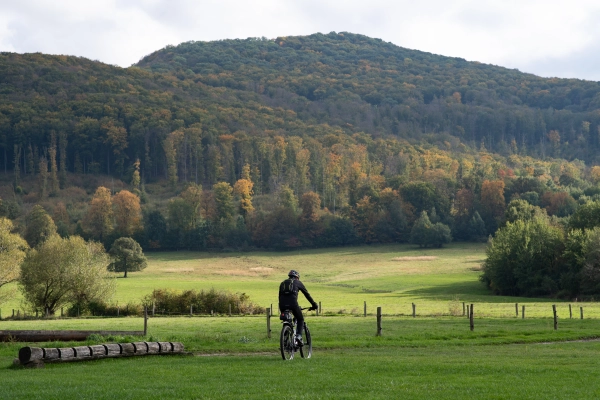 Active man on bike in the middle of beautiful nature.