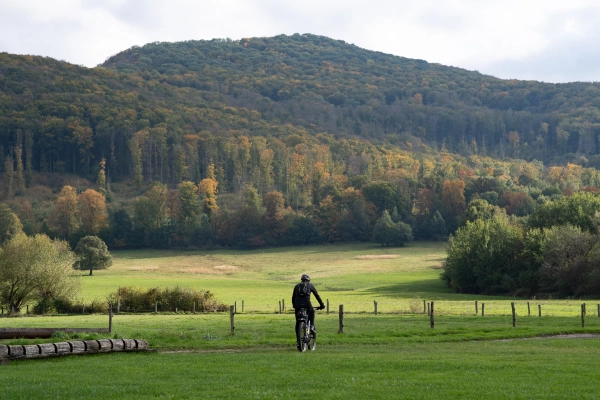 Active man on bike in the middle of beautiful nature.