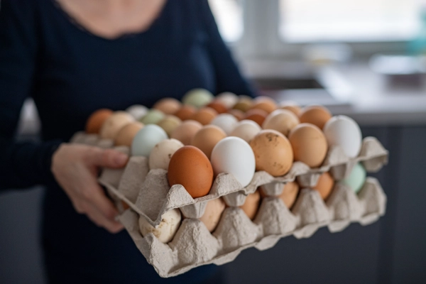 Freshly collected farm eggs in a cardboard tray.