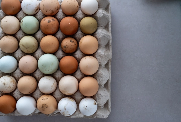 Tray of farm eggs with natural dirt spots, top view.